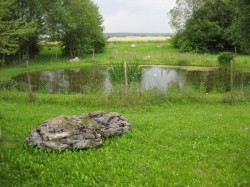 2009-Geckenbuch