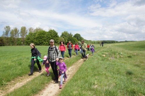 2015-05-17 - Sontheimer Höhle2 Vorbei an duftenden Wiesen